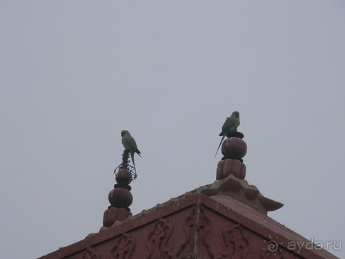 Джайпур - Фатехпур Сикри