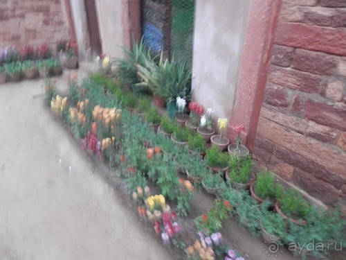 Джайпур - Фатехпур Сикри