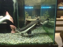 Таиланд, день третий - едем на север