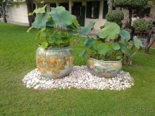 Таиланд, день третий - едем на север