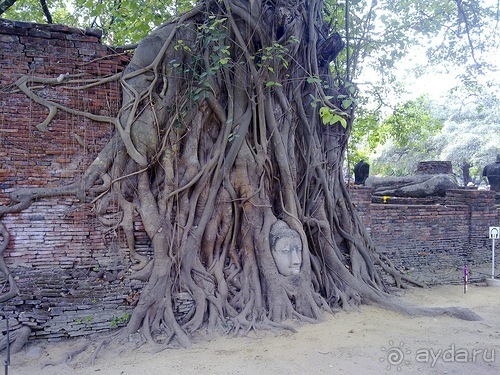 Таиланд, день третий - едем на север