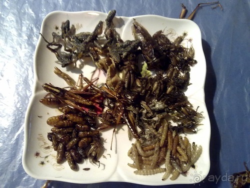 Таиланд, день третий - едем на север