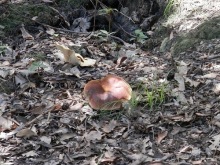 Chiavari - маленькая Болонья, только лучше