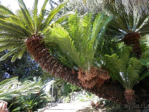 Chiavari - маленькая Болонья, только лучше