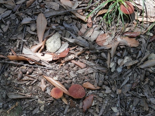 Chiavari - маленькая Болонья, только лучше