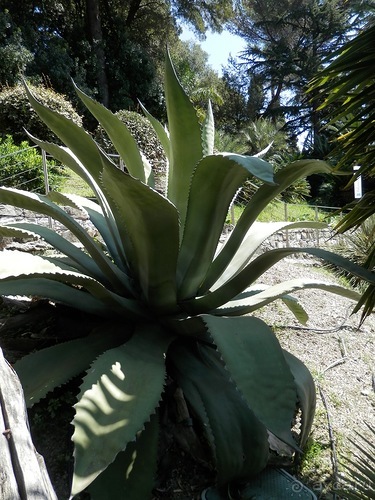 Chiavari - маленькая Болонья, только лучше