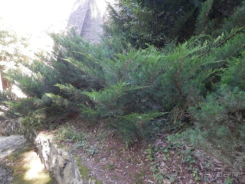 Chiavari - маленькая Болонья, только лучше