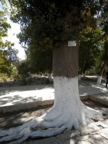 Загородная резиденция Бухарского эмира