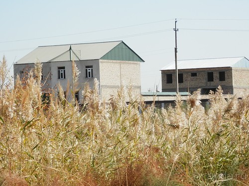 Загородная резиденция Бухарского эмира