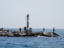 Lerici