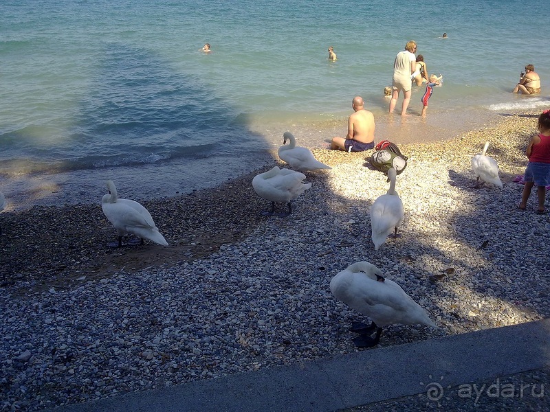 Сирмионе, день первый