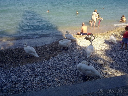 Сирмионе, день первый