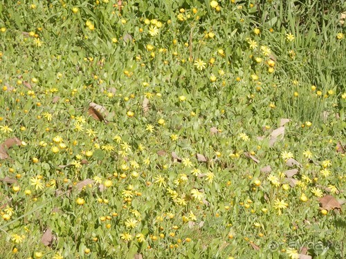 Продолжаю прогулку по Иерусалиму