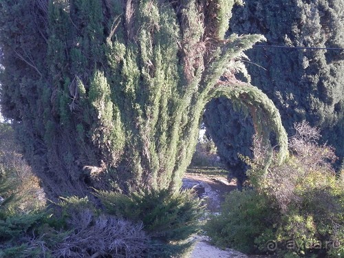 Продолжаю прогулку по Иерусалиму