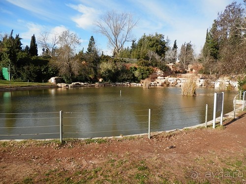 Продолжаю прогулку по Иерусалиму