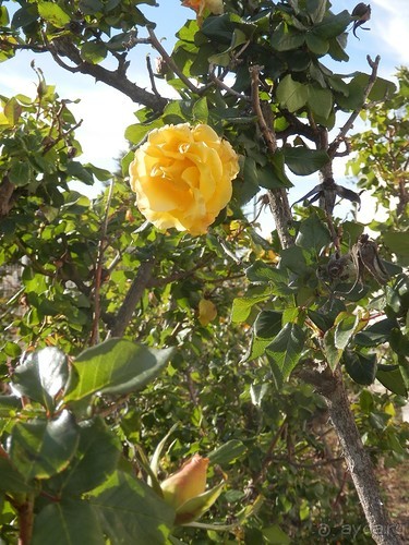 Продолжаю прогулку по Иерусалиму