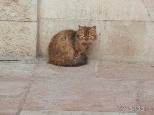 Продолжаю прогулку по Иерусалиму
