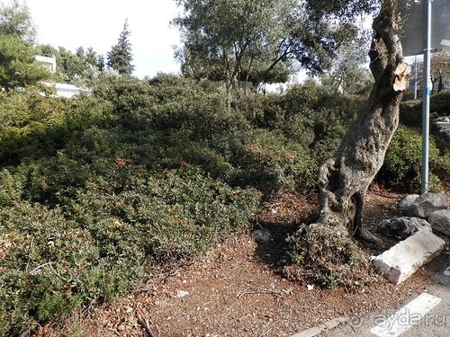 Продолжаю прогулку по Иерусалиму