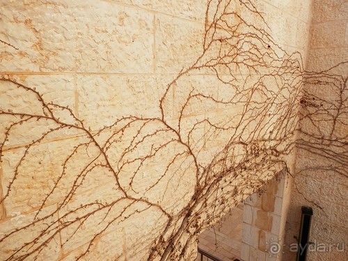 Продолжаю прогулку по Иерусалиму