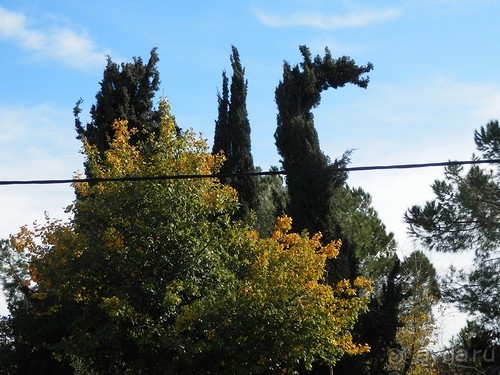 Продолжаю прогулку по Иерусалиму