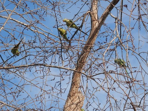 Продолжаю прогулку по Иерусалиму