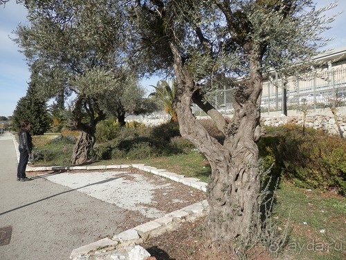 Продолжаю прогулку по Иерусалиму