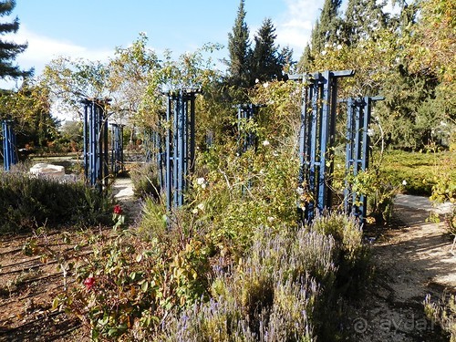 Продолжаю прогулку по Иерусалиму