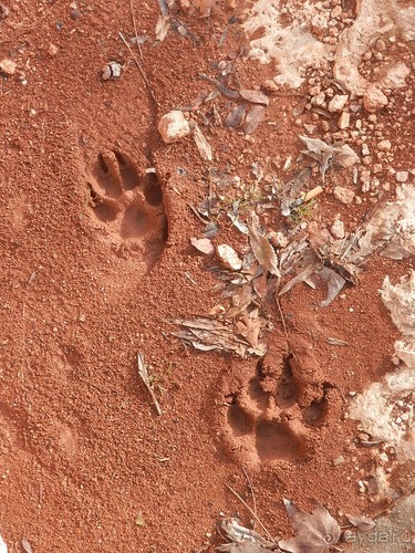 Продолжаю прогулку по Иерусалиму