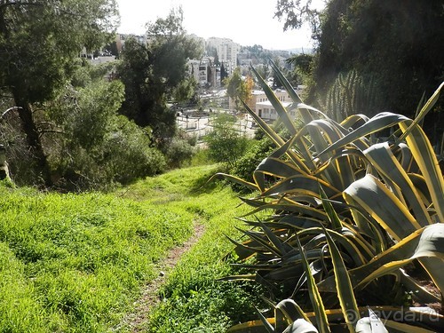 Продолжаю прогулку по Иерусалиму