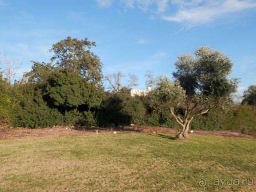 Продолжаю прогулку по Иерусалиму