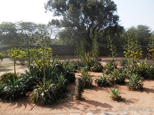 Индия, день второй - Дели и дорога в Джайпур