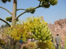 Индия, день второй - Дели и дорога в Джайпур