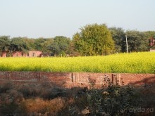 Индия, день второй - Дели и дорога в Джайпур