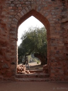 Индия, день второй - Дели и дорога в Джайпур