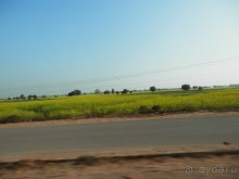 Индия, день второй - Дели и дорога в Джайпур