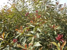 Индия, день второй - Дели и дорога в Джайпур