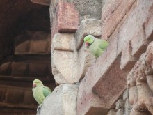 Индия, день второй - Дели и дорога в Джайпур