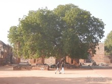 Индия, день второй - Дели и дорога в Джайпур