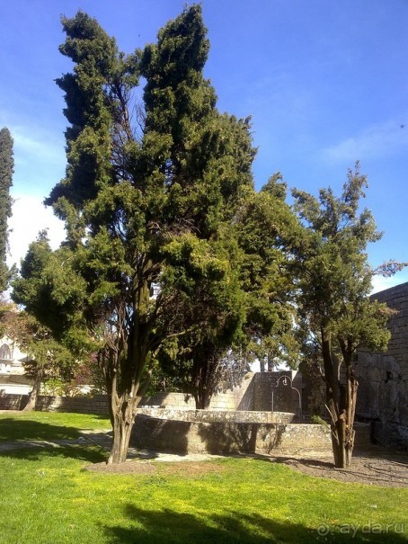 Италия - продолжение