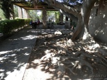 Малага, день первый