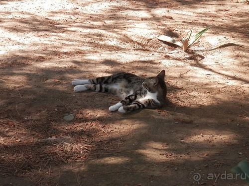 Малага, день первый