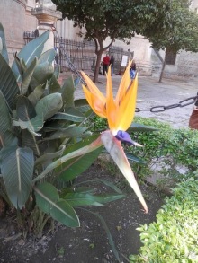 Малага, день первый