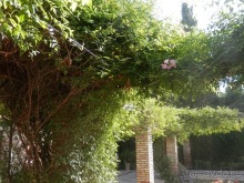 Малага, день первый