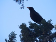 Малага, день первый