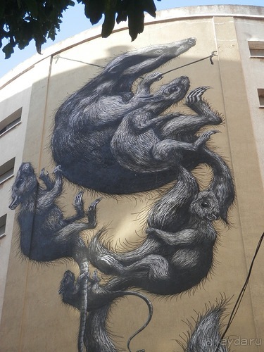 Малага, день первый