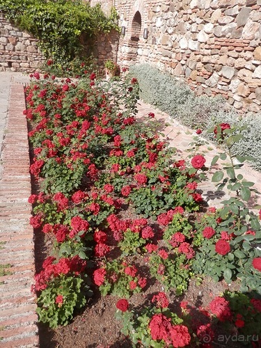 Малага, день первый