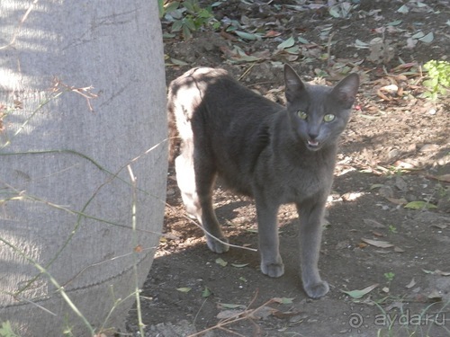 Малага, день первый