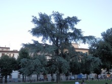 Флоренция - день первый