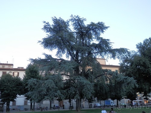 Флоренция - день первый