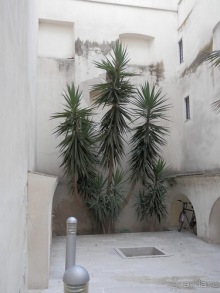 Бари - подводя итоги поездки